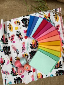 Inaluxe Rainbow Bundle with Fat Quarter - Curated 14 Fat Quarter Bundle