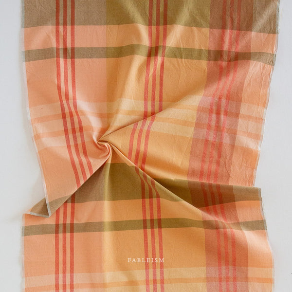 Happy Checkers Retrograde - Backing For Old Cabin Quilt