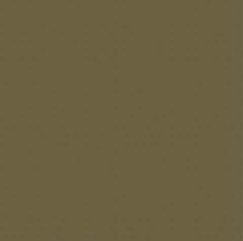 PURE Solids by Art Gallery Fabrics - Dried Moss
