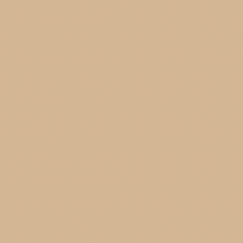 Pure Solids by Art Gallery Fabrics- Ginger