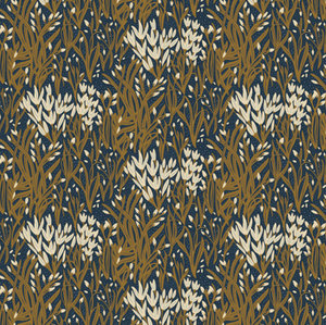 Coyote Hill by Katie O'Shea - Meadow Melody Hill