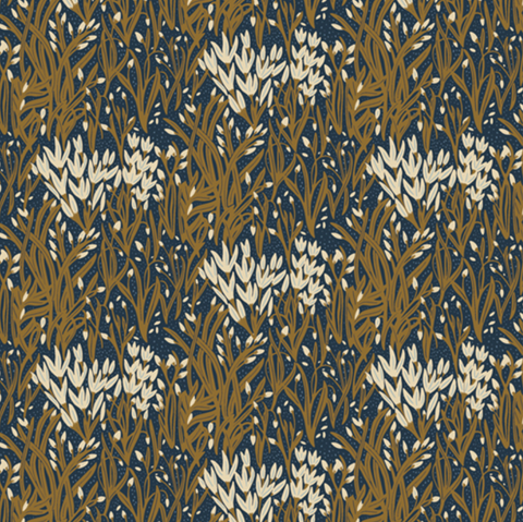 Coyote Hill by Katie O'Shea - Meadow Melody Hill