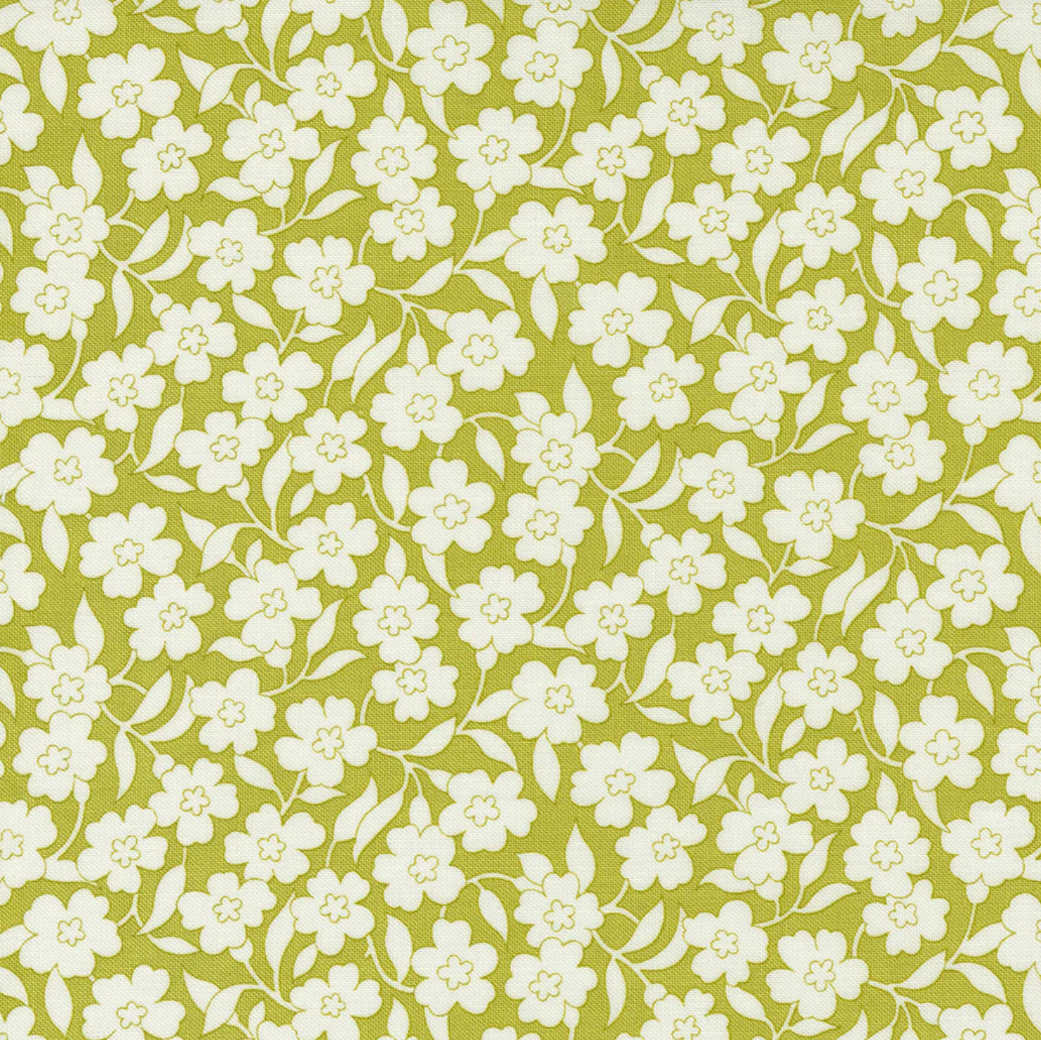 Flower Power by Moda Fabrics - White Flowers on Green