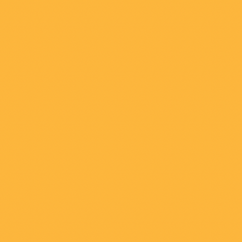 Pure Solids by Art Gallery Fabrics - Pineapple