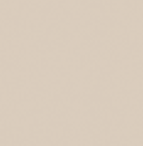 PURE Solids by Art Gallery Fabrics - Sandstone