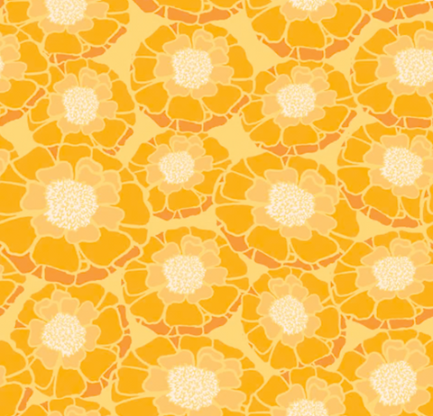 Marigold by Maureen Cracknell - Humble Beauty