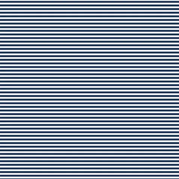 Fundamentals 1/8" Stripe Gambier Blue - Binding