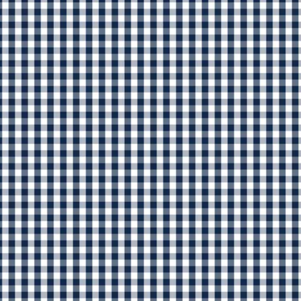 Fundamentals 1/4" Check Gambier Blue - Binding
