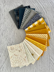 Triumph over Darkness - 16 Fat Quarter Curated Bundle