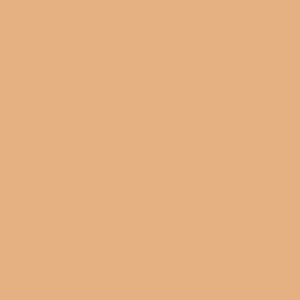 Pure Solids by Art Gallery Fabrics- Georgia Peach
