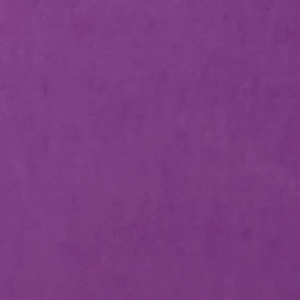 Devonstone Solids - Pasito (sold in 25cm  (10") increments)