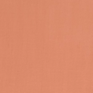 Devonstone Solids - Protea