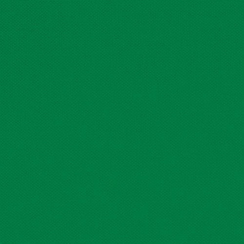 Devonstone Solids - Cactus Green (sold in 25cm  (10") increments)