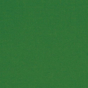 Devonstone Solids - Crocodile Green (sold in 25cm  (10") increments)