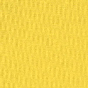 Devonstone Solids - Sunny Side Up (sold in 25cm  (10") increments)