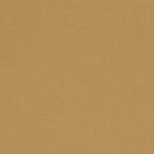 Devonstone Solids - Mocha (sold in 25cm  (10") increments)