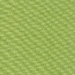 Devonstone Solids - Light Green