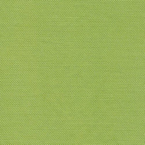 Devonstone Solids - Light Green (sold in 25cm  (10") increments)