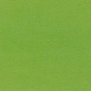 Devonstone Solids - Coral Green